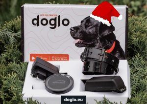Doglo GPS koera jälgimisseade
