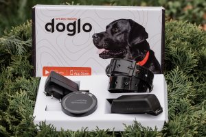 Suur Doglo GPS jälgur