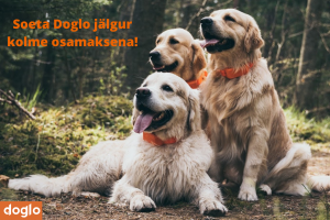 jälgur kolme osamaksena