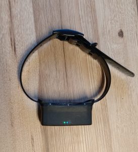 Doglo jälgimisseade karjakaitsekoerale