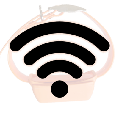 Internet connection extension