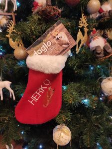 suna-gps-suns-ziemassvetki